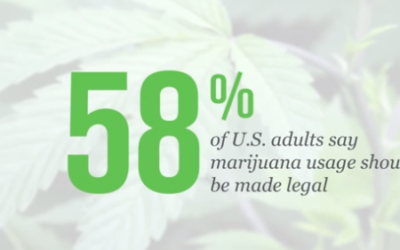 Majority of Americans Want To Legalize Marijuana