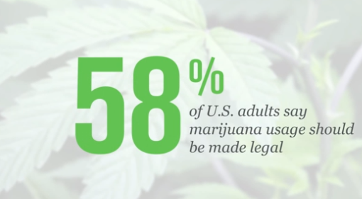 Majority of Americans Want To Legalize Marijuana