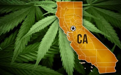 68% in California Say Pot Legalization Good for State