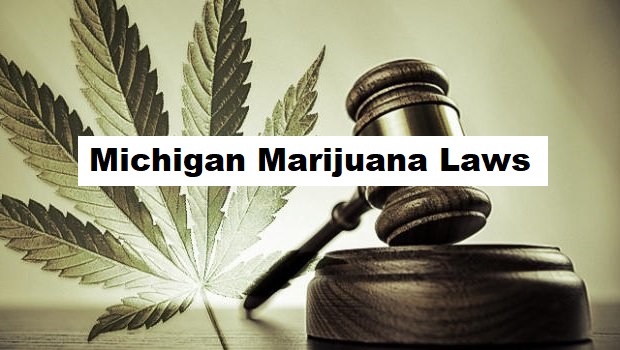 Michigan Marijuana Laws Green Tripz   Marijuana Laws In Michigan 