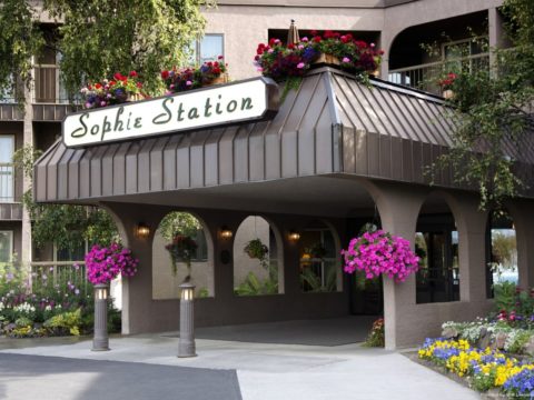 Sophie Station Suites