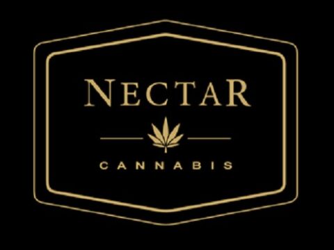 Nectar - Salem / Liberty