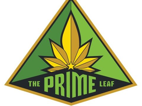 The Prime Leaf - University